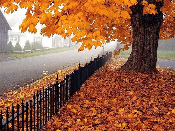 Красивые Фото Поздней Осени Природа