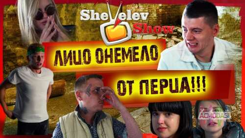 Участники в шоу-испытаний на Youtube-канале Shevelev show