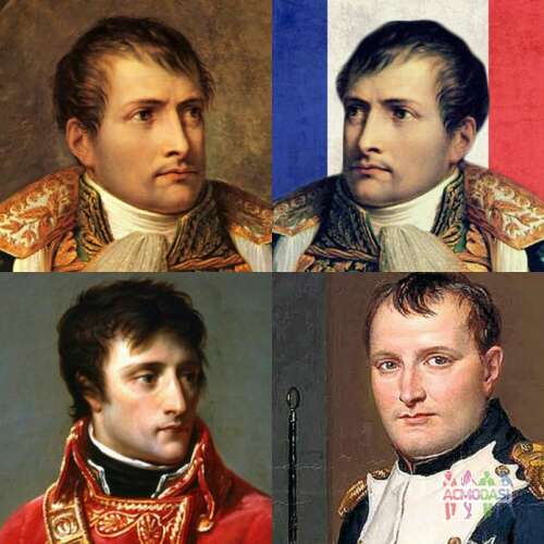 СТС. Роль Наполеона