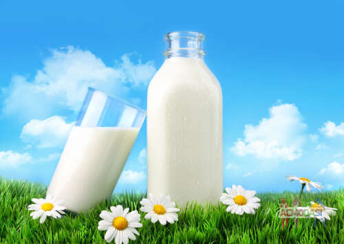 Главные роли в рекламу молочной продукции
