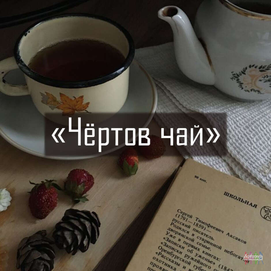 Дипломный фильм Александра Гридина "Чёртов чай"